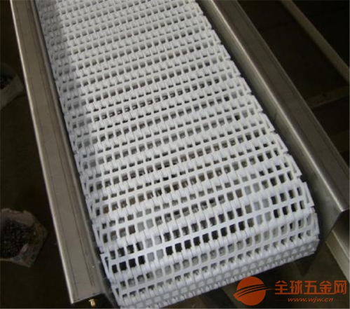 模塊網(wǎng)帶輸送機(jī) 環(huán)保 食品專用輸送機(jī)
